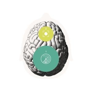 Oticon Zircon BrainHearing Technology